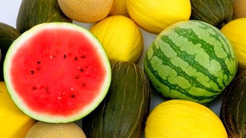 Lubenica in melona - jagode, nevarne za diabetike